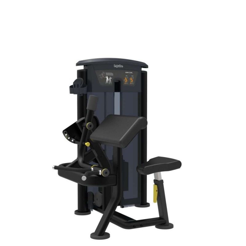 Arm Curl IT9503